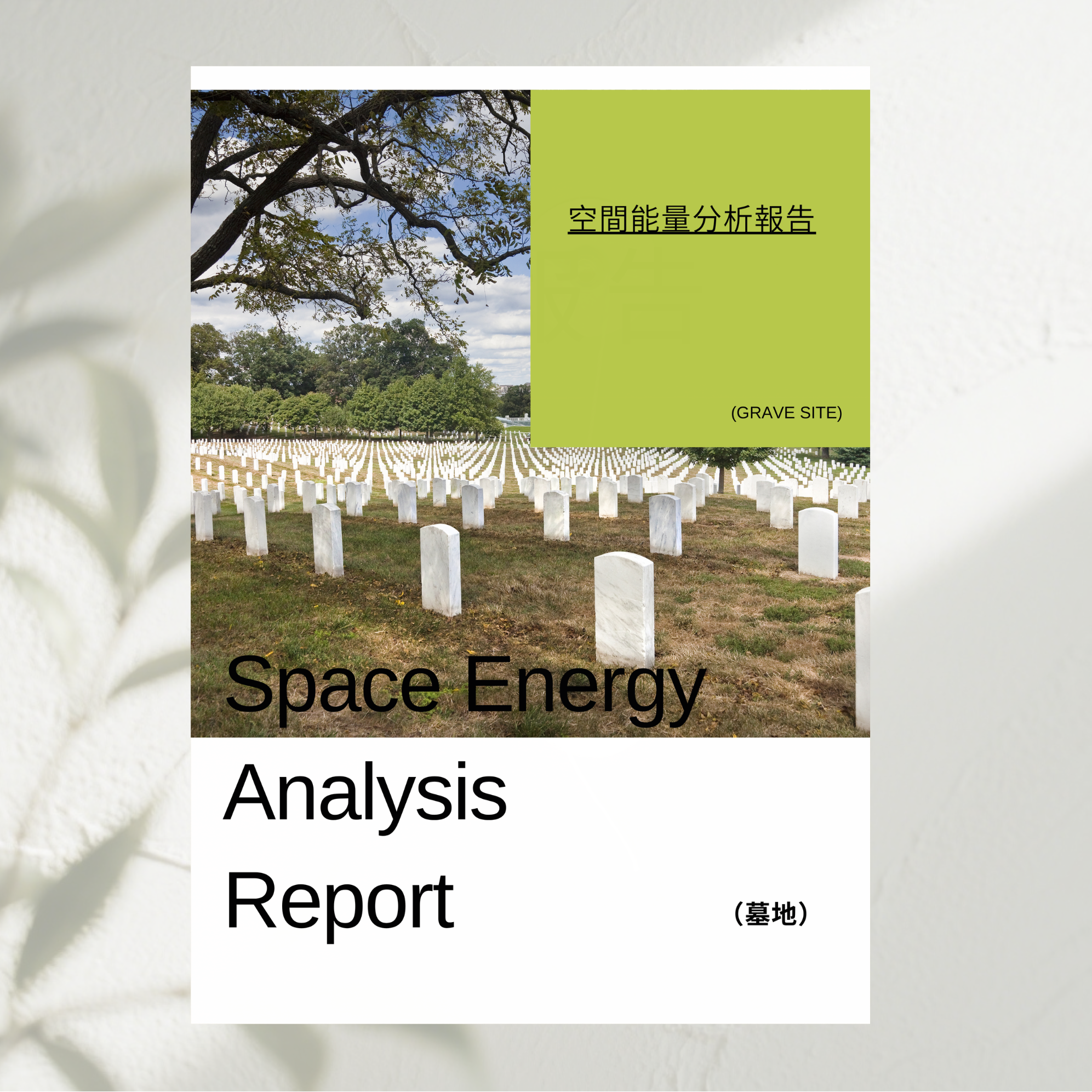 D13 Ancestral Heritage & Environment Consultation